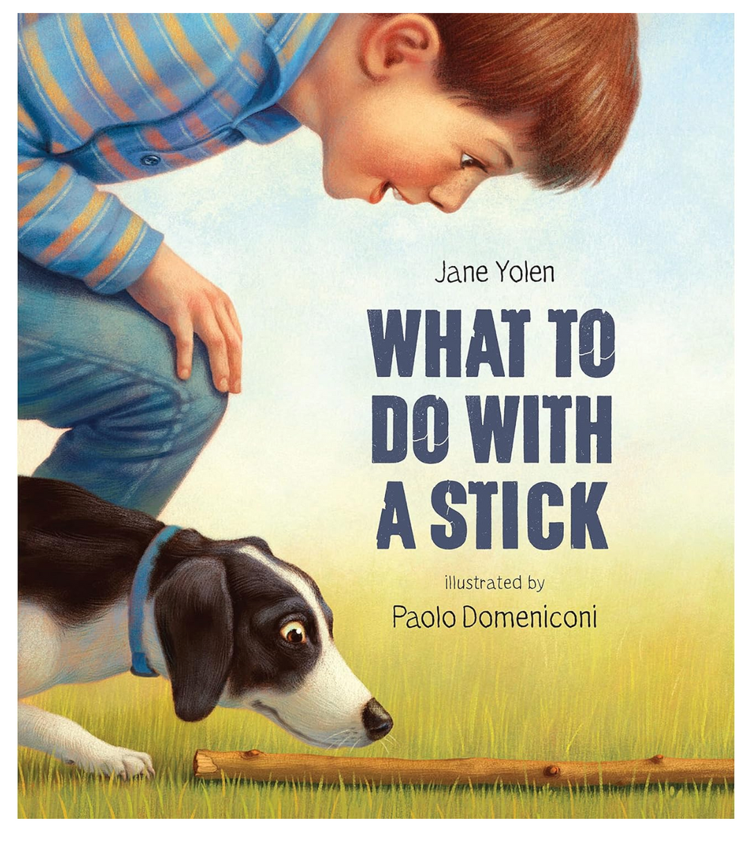 What To Do With A Stick - Victoria's Toy Station