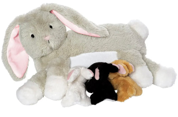 Nursing Pet Rabbit