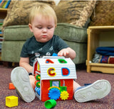 Farm Activity Cube