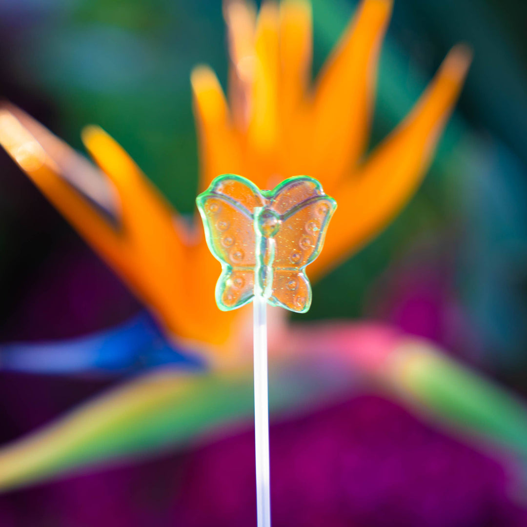 Butterfly Twinkle Pops Long-Stem Lollipops