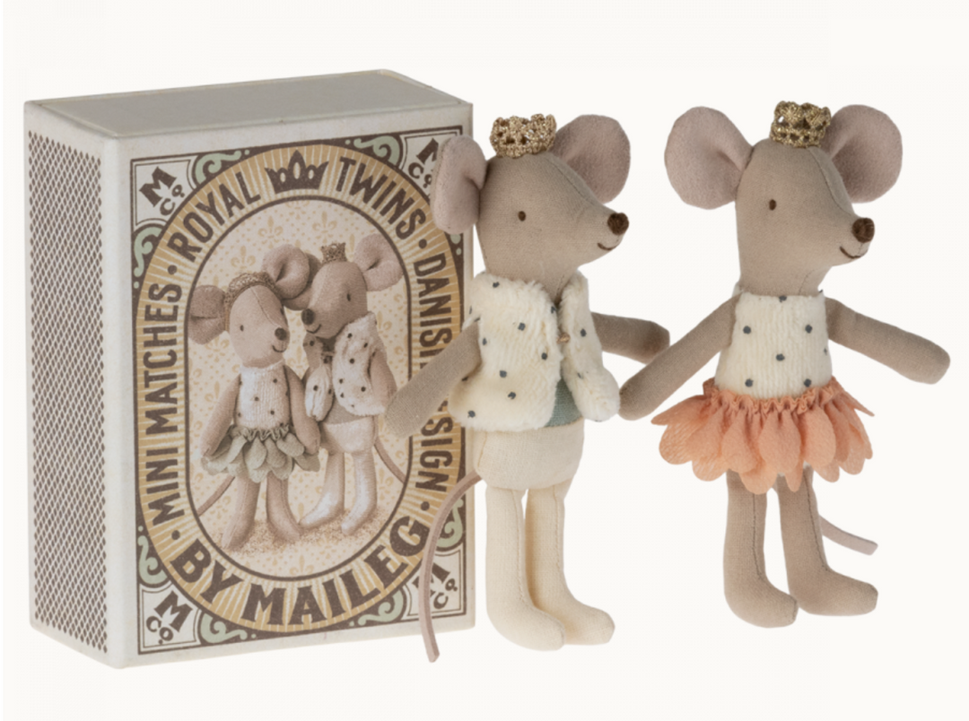Royal twins mice, Little sister and brother in box