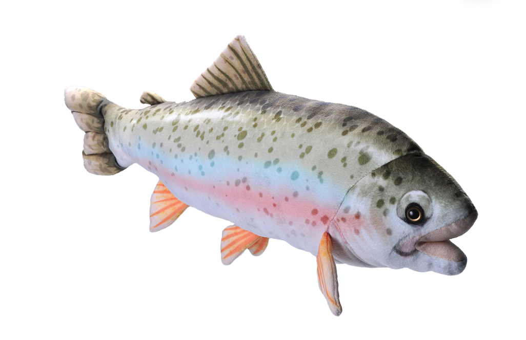 Living Trout - Victoria's Toy Station