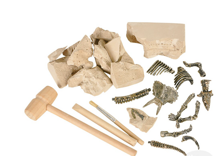 Dinosaur Deluxe Fossil Excavation Kit