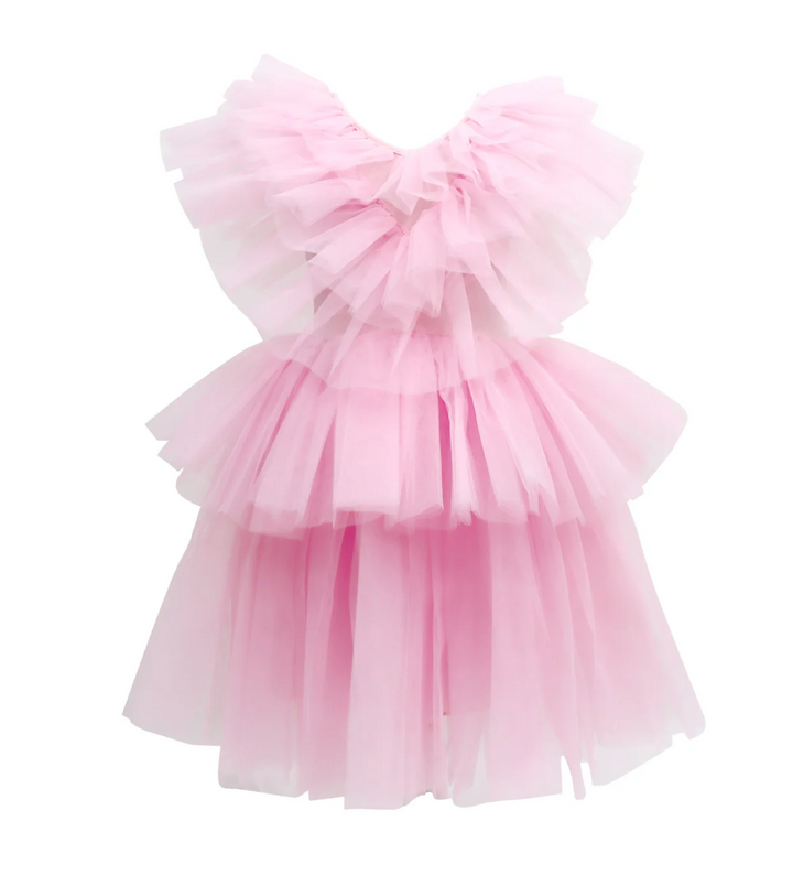 Claris Ruffled Tulle Dress