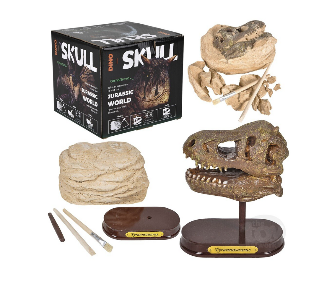 T-Rex Skull Excavation Kit