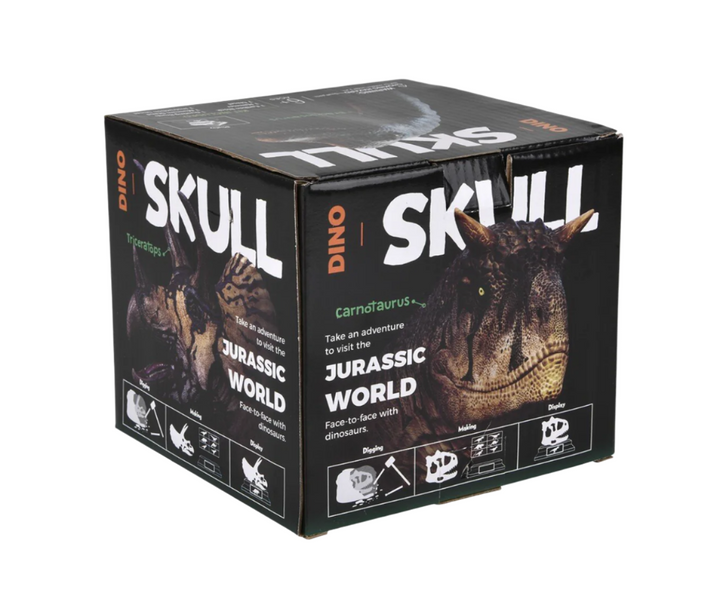 T-Rex Skull Excavation Kit