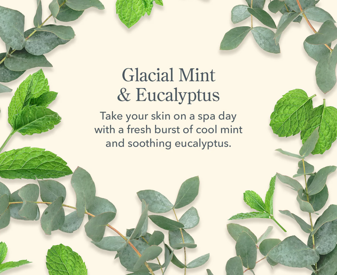 Glacial Mint & Eucalyptus 2pc Gift Set - Victoria's Toy Station