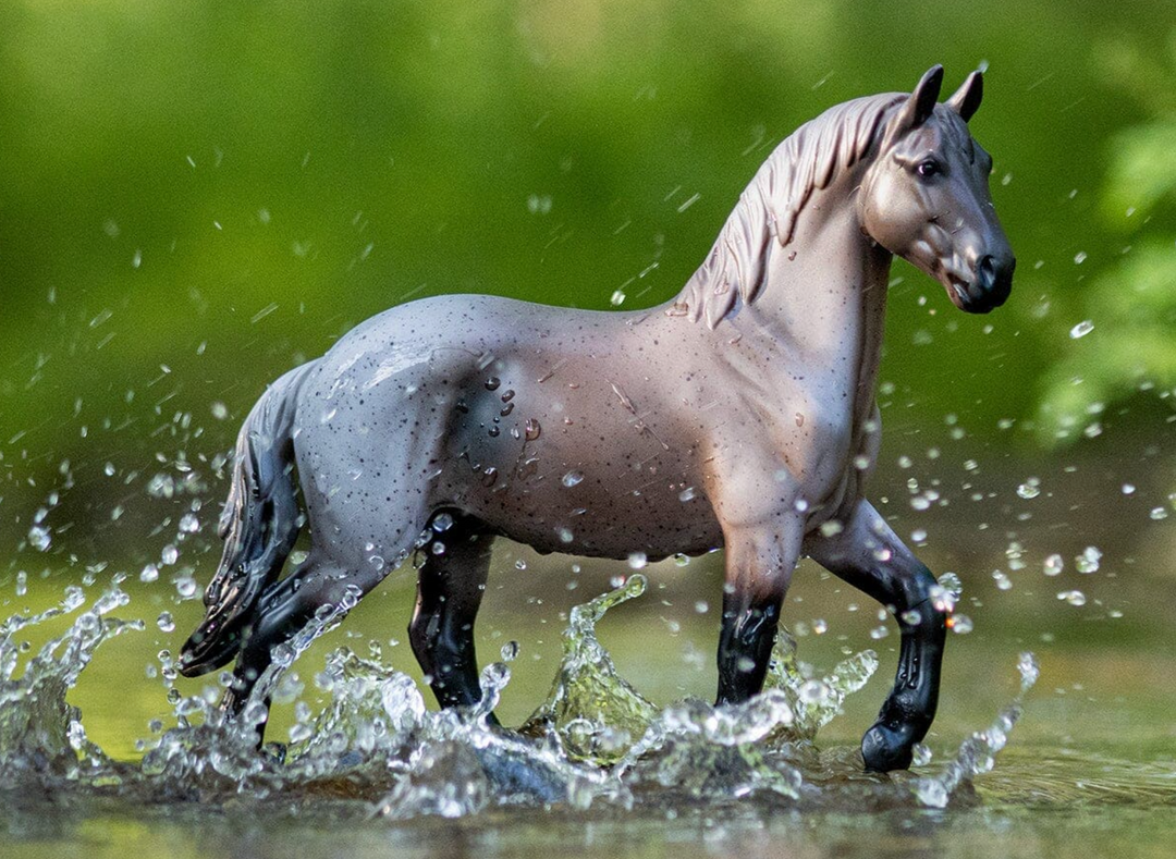 Blue Roan Brabant