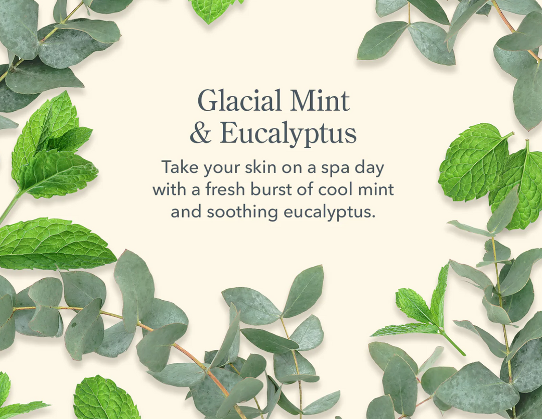 Glacial Mint & Eucalyptus 3pc Gift Set - Victoria's Toy Station