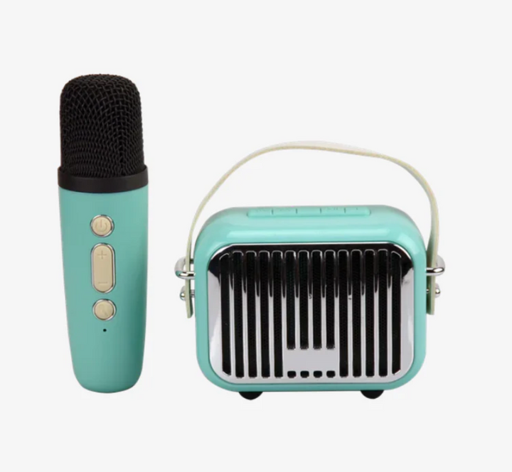 Pocket Karaoke Pink or Teal - Victoria's Toy Station