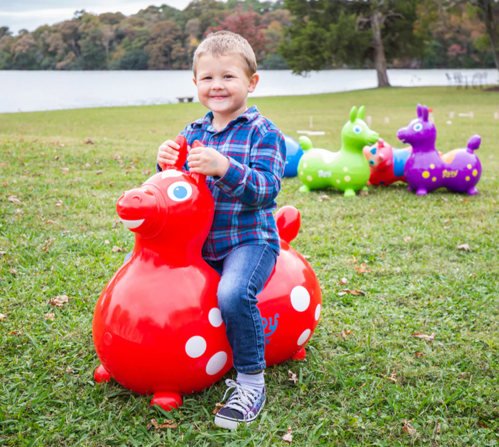 Rody MAX Inflatable Bounce Horse With Pump