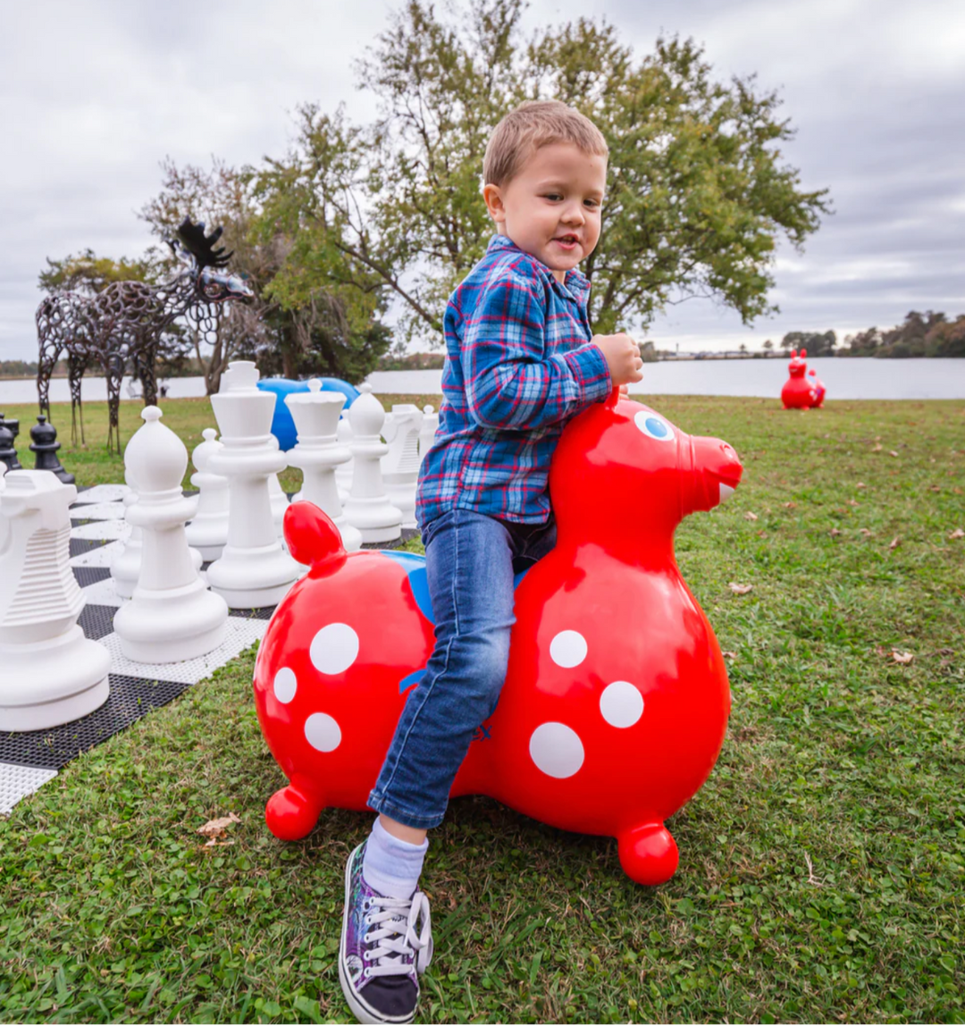 Rody MAX Inflatable Bounce Horse With Pump