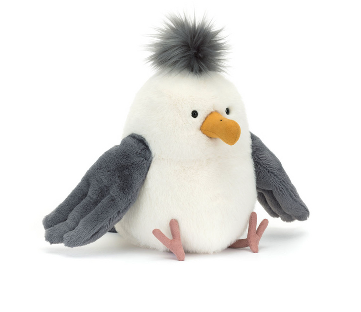 Chip Seagull