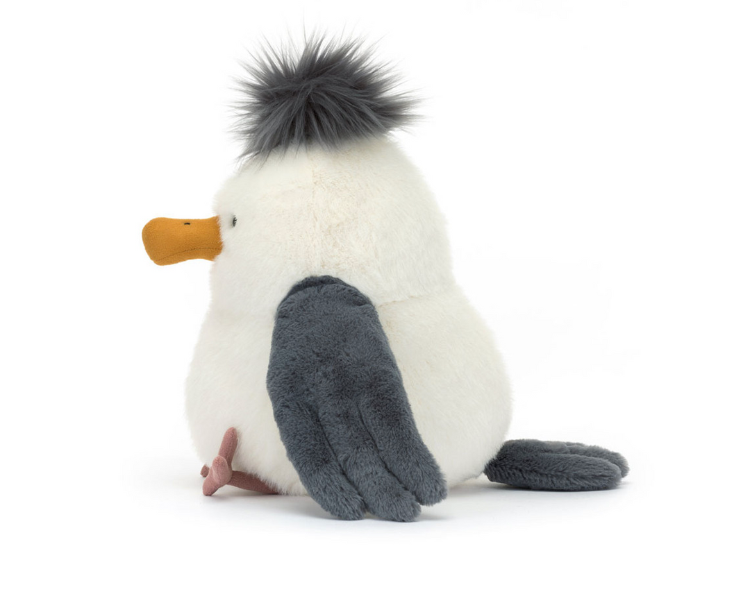 Chip Seagull