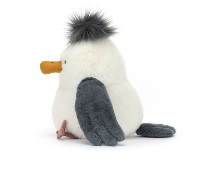 Chip Seagull