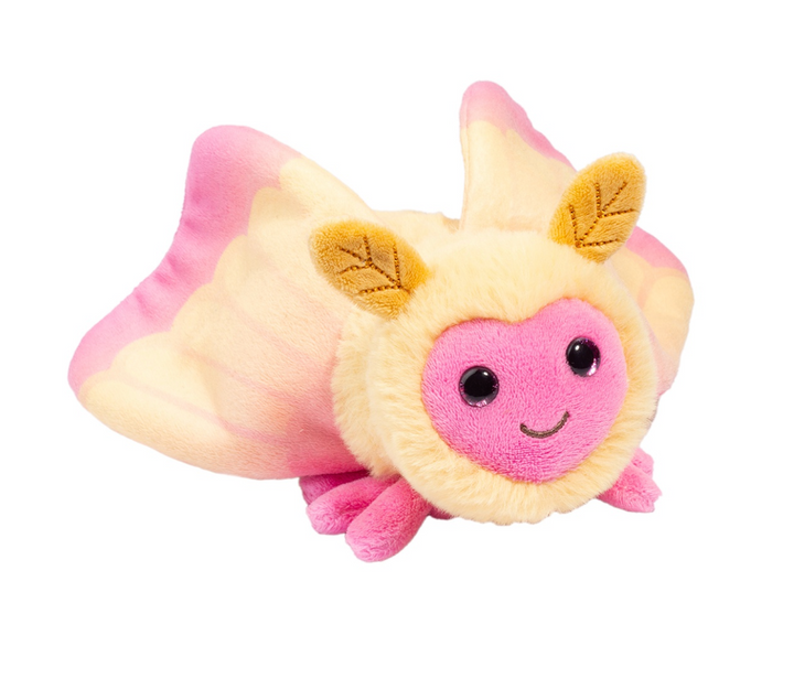 Rosy Maple Moth