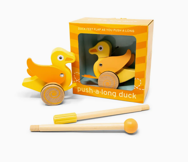 Duck Roll Along Push Toy