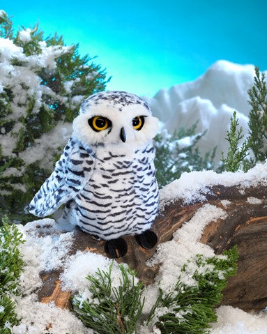 Owl, Snowy Small