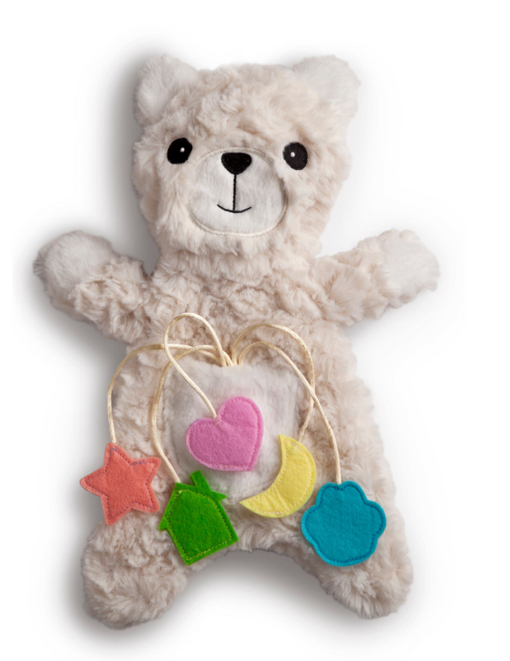 Wishing Bear Toy & Book Set - Victoria's Toy Station