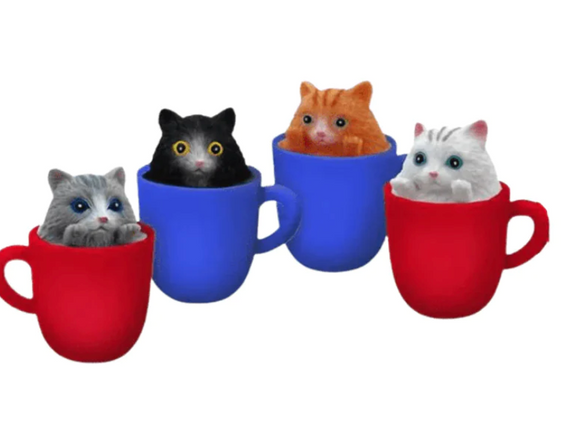 Pop a Chino Kitties