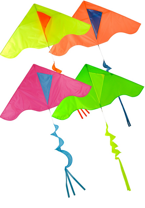 COLORBLOCK DELTA KITE